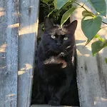 招待所 D'hote - La Maison Verte 沙尔姆