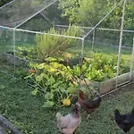 招待所 D'hote - La Maison Verte