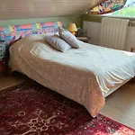 招待所 D'hote - La Maison Verte 3*