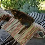 招待所 D'hote - La Maison Verte 沙尔姆