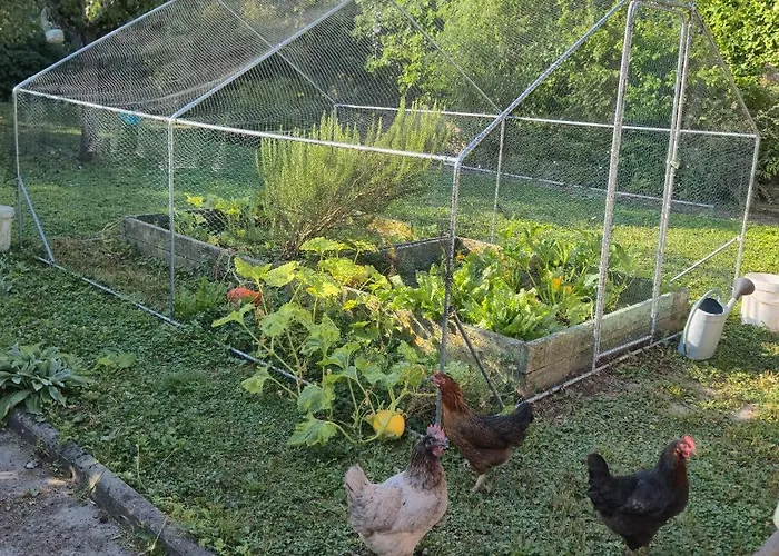 Penzion D'hote - La Maison Verte